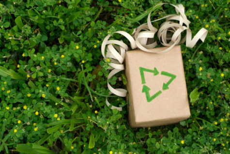 Eco friendly gift wrapped in recycled paper surround by green plantsYou may also like some of these images from my portfolio: