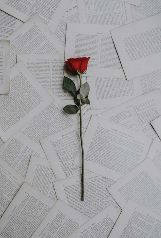 Photo+by+Annie+Spratt+via+Unsplash