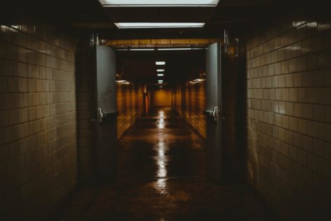 Image by Andy Li via Unsplash