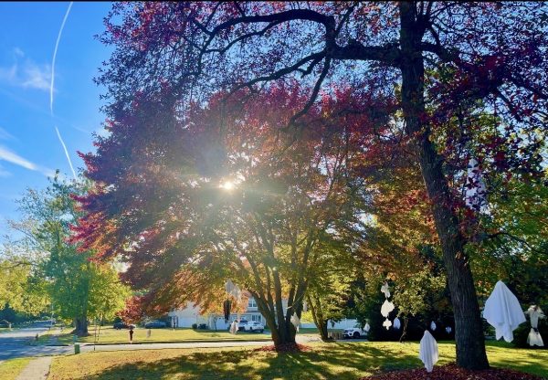 The Feeling of Fall