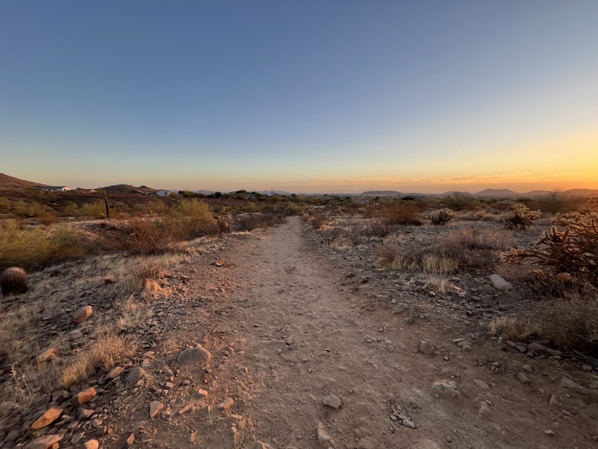sonoran