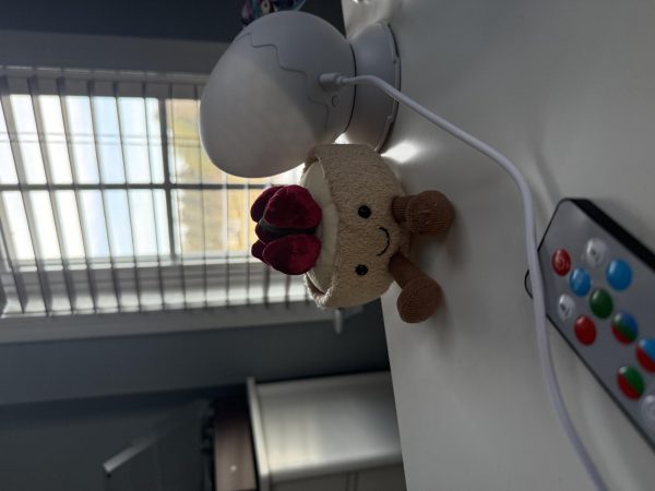 Should You Buy A Jellycat?